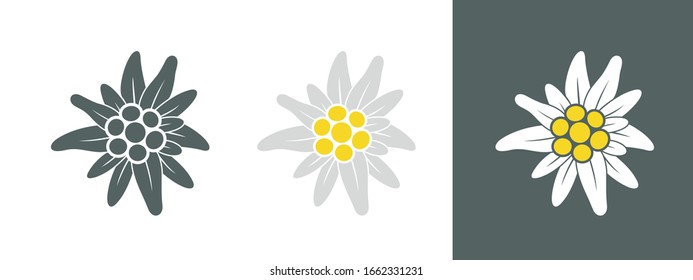 Edelweiss logo. Isolated edelweiss on white background