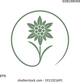 Logo de Edelweiss. Edelweiss aislados sobre fondo blanco