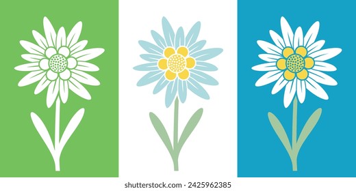 Edelweiss logo. Isolated edelweiss on white background