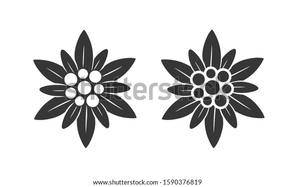 Edelweiss\
logo. Isolated edelweiss on white\
background
