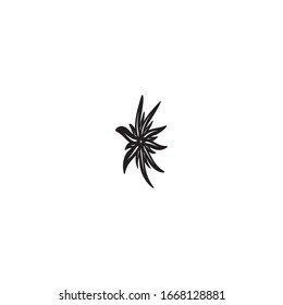 Edelweiss Logo Template vector symbol nature