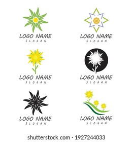Edelweiss Logo Template vector symbol nature