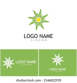 Edelweiss Logo Template vector symbol nature