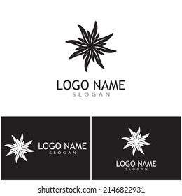 Edelweiss Logo Template vector symbol nature