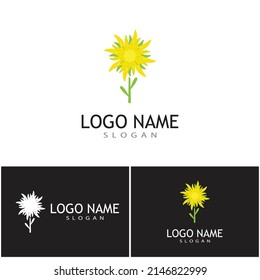 Naturaleza del símbolo vectorial de la plantilla de logotipo Edelweiss