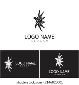Edelweiss Logo Template vector symbol nature