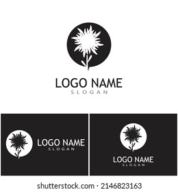 Naturaleza del símbolo vectorial de la plantilla de logotipo Edelweiss