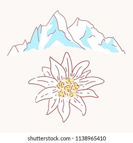 edelweiss mountains mountaineering flower symbol alpinism alps germany logo