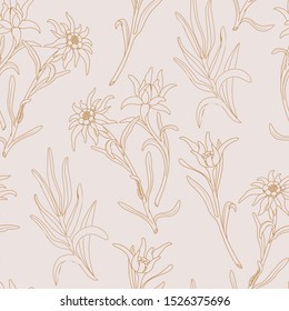 Edelweiss. Seamless pattern with edelweiss flowers on a pink background