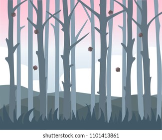 The edge of the forest and the beautiful sky in the background. Fir cones fall into the grass.