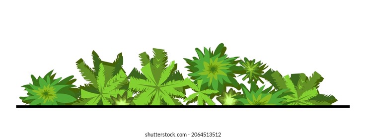 The edge of the forest. Trees and shrubs. View from above. Plant landscape. Green wildlife. Palm. Top view. Height. Illustration in cartoon style. Isolated on white background Vector.