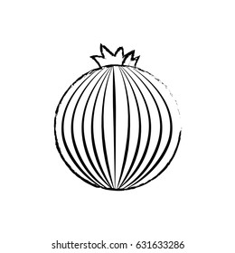 edge fresh onion organ vegetable food