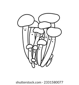 Edible asian mushrooms. Enoki, Shiitake, Nameko, Paddy Straw, Maitake, Tea Tree, King Oyster Mushrooms, Chinese black mushrooms. Vegetables set. Linear hand drawn vector cartoon illustration.