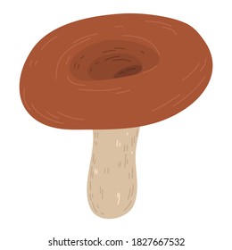 Edible brown boletus mushroom growing in autumn season
