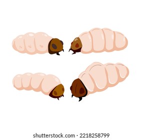 oruga comestible. Conjunto de larvas de insectos blancos. Fuente de proteína animal. Ilustración de dibujos animados planos aislados en blanco