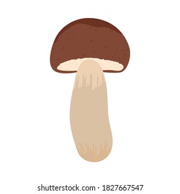 Edible clean porcini mushroom growing in autumn season in forest