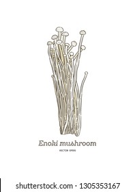 edible enoki mushrooms (Enokitake) cartoon vector. Hand draw sketch vector.