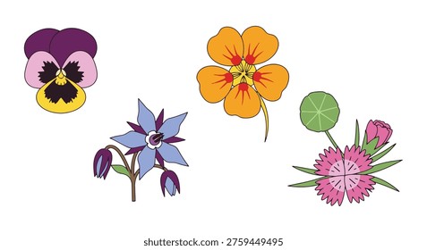Edible Flowers Line art vector minimal elegant abstract