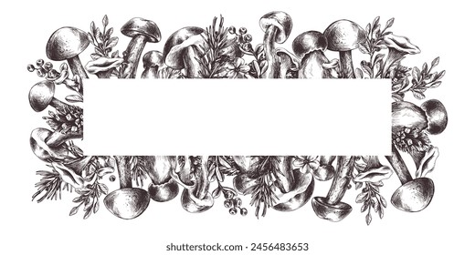 Edible forest mushrooms, boletus, chanterelles with blueberries and lingonberries, leaves, fir and cones. Graphic illustration, hand drawn with brown ink, line art. Rectangular frame template