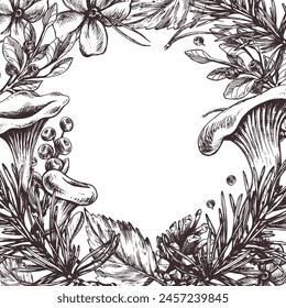 Edible forest mushrooms chanterelles with blueberries and lingonberries, leaves, fir and cones. Graphic illustration, hand drawn with brown ink, line art. Round frame, wreath template for text.