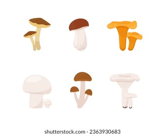 Edible forest mushrooms set vector illustration on white background