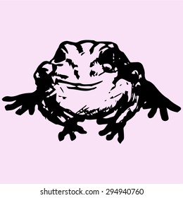 edible frog, doodle style, sketch illustration