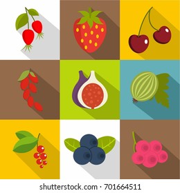 Edible fruit icons set. Flat set of 9 edible fruit vector icons for web with long shadow