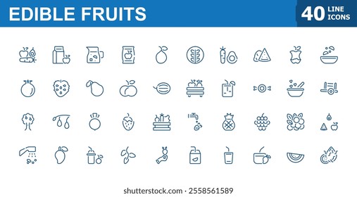 Edible Fruits icons in linear style. Featuring orange, tropical, apricot, berry, vitamin, fruits, watermelon and more. Minimalist outline icon collections. Editable vector illustration.