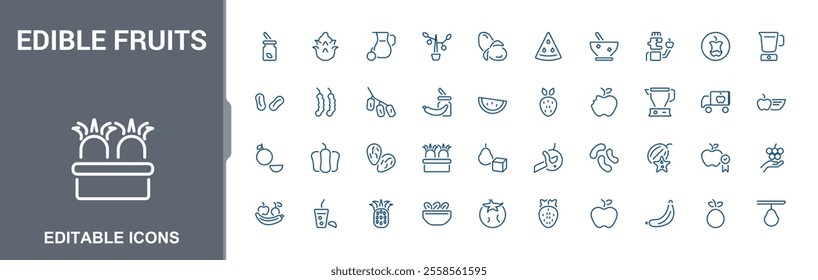 Edible Fruits icons in linear style. Featuring orange, tropical, apricot, berry, vitamin, fruits, watermelon and more. Minimalist outline icon collections. Editable vector illustration.