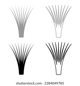 Genießbares Grasgras Cymbopogon citratus Gewürze pflanzliche pflanzliche Pflanzen Set Symbol grauschwarz Vektorgrafik solide Umrisslinie flachfarben