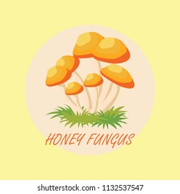edible honey fungus  mushrooms banner. vector illustration 