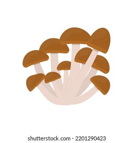 Edible honey mushrooms flat illustration