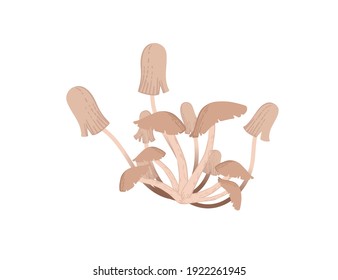 Edible honey mushrooms grow from ground vector illustration on white background