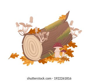 Edible honey mushrooms and toxic red mushrooms grow from old tree log and green moss vector illustration on white background