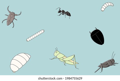 Edible insects, wallpaper background illustration