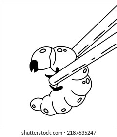 Edible larva. Eating caterpillar with chopsticks. Asian snack and street fast food. Source of insect protein.