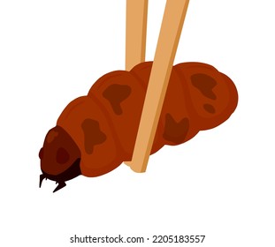 Edible larva. Eating caterpillar with chopsticks. Asian snack and street fast food. Source of insect protein.