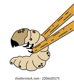 Edible larva. Eating caterpillar with chopsticks. Asian snack and street fast food. Source of insect protein.