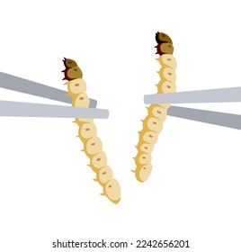 Edible larva. Eating caterpillar with chopsticks. Asian snack and street fast food. Source of insect protein.