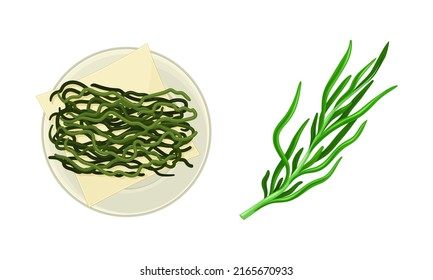 Edible marine seaweed plants set. Organic dietary supplement vector illustration