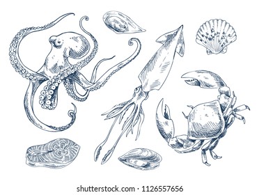 Edible mollusks mussel, oyster and common cockle. Marine animal squid and octopus, crab and salmon as seafood. Isolated in white vector illustration.