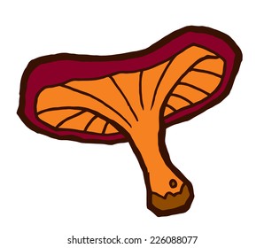 Edible mushroom autumn - set of different mushrooms vector elements for design