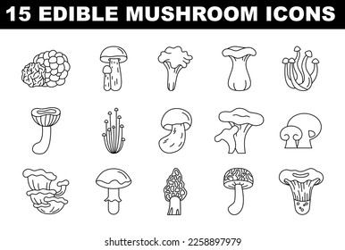 Edible mushroom black and white icons set. Collection of natural wild forest product. Vegetarian nutrition, delicious fungus. Flat vector illustration