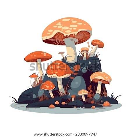 Edible mushroom cap grows in uncultivated forest over white