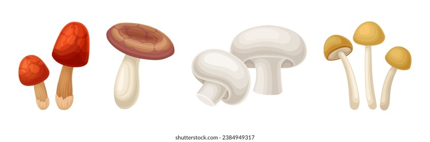 Edible Mushroom with Cap and Stem as Forest Plant Vector Set