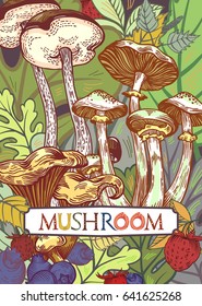 Edible mushroom cover illustration with leaves and berries in engraved style. Fully editable vector illustration with clipping mask. Figured table with mushroom lettering.