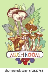 Edible mushroom cover illustration with leaves and berries in engraved style. Fully editable vector illustration with clipping mask. Figured table with mushroom lettering.