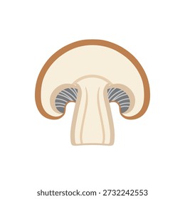 Seta comestible sección transversal plana Ilustración vectorial Icono de alimentos