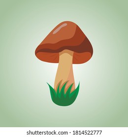 
edible mushroom drawing on white background, vector illustration