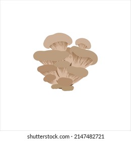 Edible mushroom flat icon. Mushroom oyster hand drawn vector illustration
